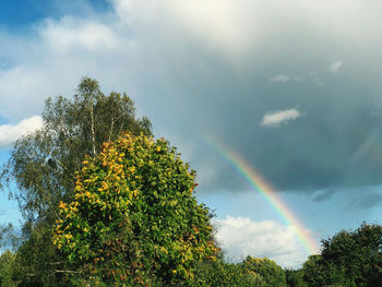 Low angle view of rainbow against sky