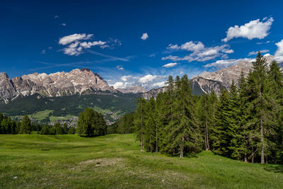 Scenic view of trees and mountains against blue sky