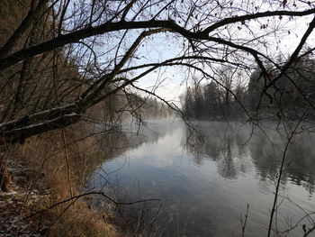 Reflection of bare trees in lake against sky