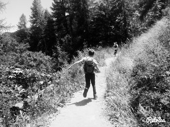 Rear view of woman walking on footpath