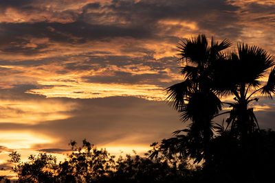 Low angle view of silhouette trees against sky during sunset