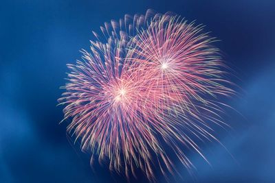 Low angle view of firework display against sky at night