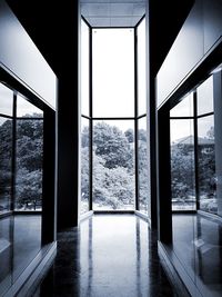 View of window in winter