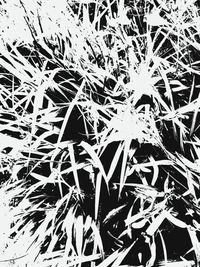 Full frame shot of frozen plant during winter