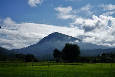 Scenic view of field against sky