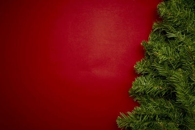 Close-up of christmas tree against red wall