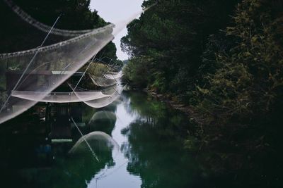 Reflection of trees in lake against sky