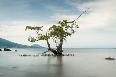 Scenic view of sea against sky