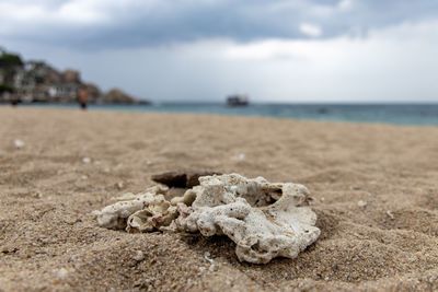 Surface level of sand on beach against sky