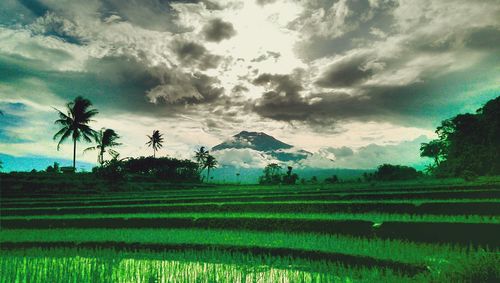 Scenic view of grassy field against cloudy sky