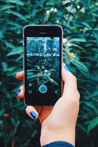 Close-up of woman holding smart phone