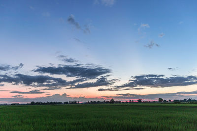 Scenic view of field against sky during sunset