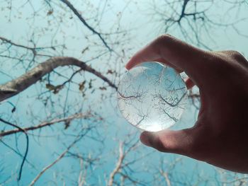 Midsection of person holding tree against sky