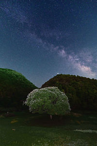 Scenic view of star field against sky at night