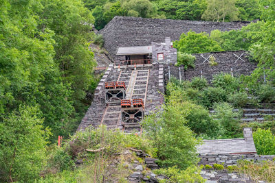 Old building by trees and plants