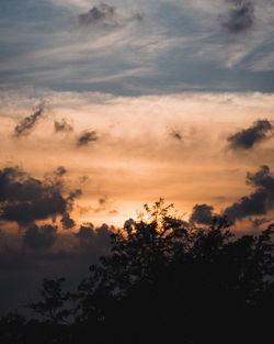 Low angle view of silhouette trees against sky at sunset