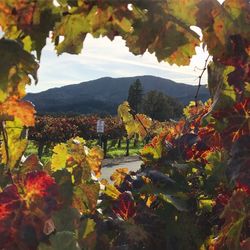 Scenic view of mountains against sky during autumn