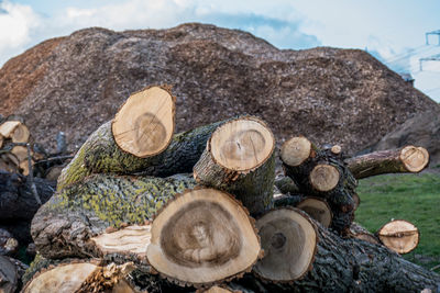 Stack of logs on field