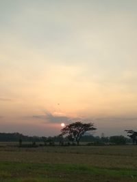 Scenic view of field against sky during sunset