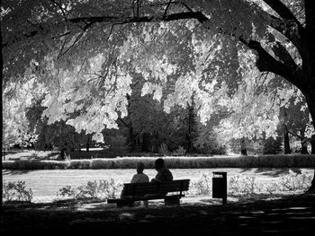 Woman sitting on bench in park