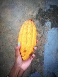 Close-up of hand holding yellow leaf