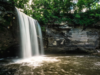 Scenic view of waterfall in forest
