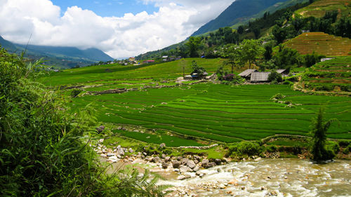 Scenic view of agricultural field by mountains against sky