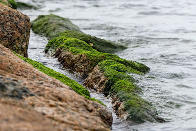 Scenic view of rocky beach