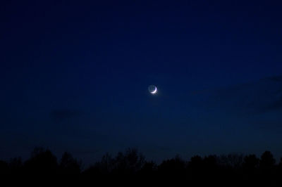 Low angle view of silhouette trees against sky at night