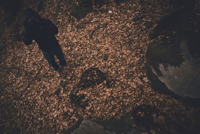 Low section of silhouette man