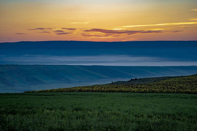 Scenic view of field against sky during sunset