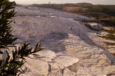 Scenic view of land