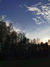 Silhouette trees on field against sky at sunset