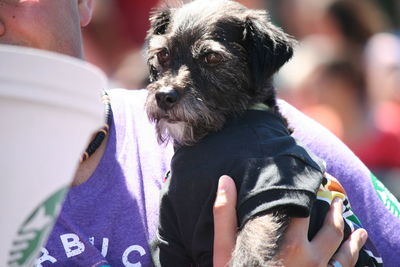 Close-up of man holding dog