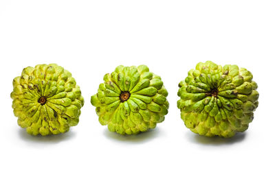 High angle view of fruits against white background