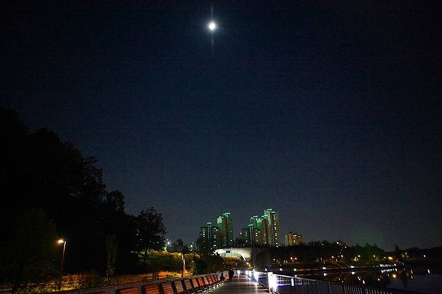 night, illuminated, street light, built structure, architecture, building exterior, transportation, city, sky, road, lighting equipment, street, clear sky, copy space, moon, light - natural phenomenon, connection, bridge - man made structure, dark, light trail