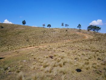 Scenic view of field against blue sky