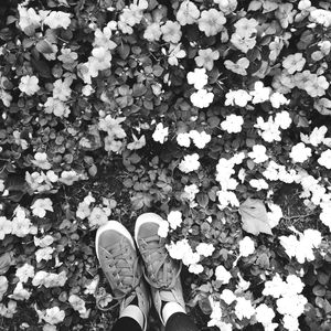 Low section of person standing in park