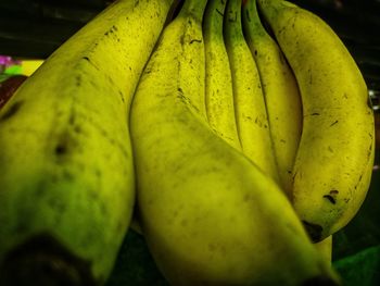 Close-up of bananas for sale