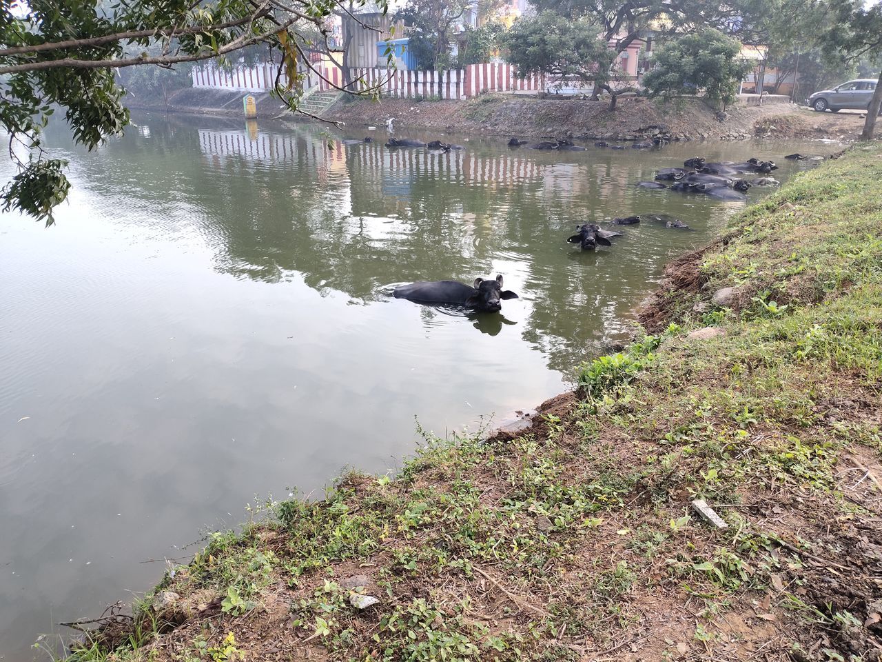 HIGH ANGLE VIEW OF A LAKE