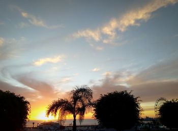 Low angle view of silhouette trees against sky during sunset