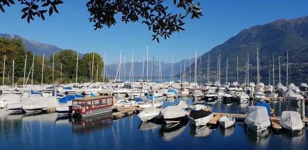 Boats moored in harbor