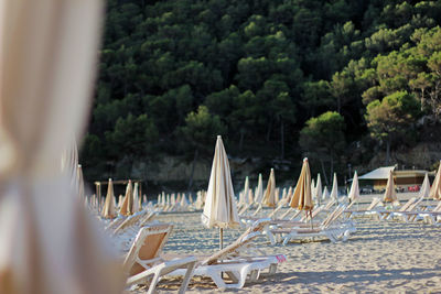 Scenic view of beach