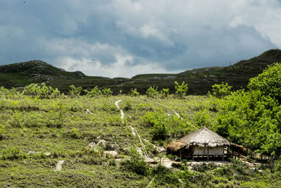 Scenic view of landscape against sky