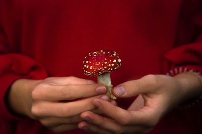 Midsection of woman holding red mushroom