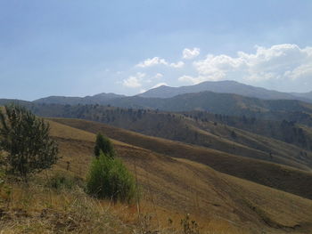 Scenic view of landscape against sky