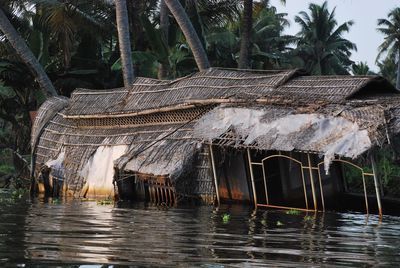Gazebo by palm trees and building