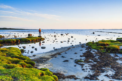 View of calm coast