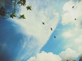 Low angle view of birds flying against sky