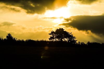 Silhouette trees on landscape against sky at sunset